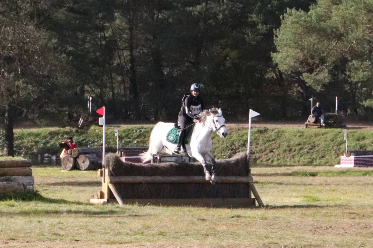 Poney cce ou cso 