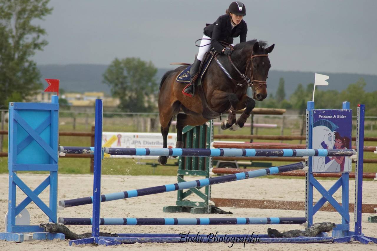 Ego Louvo Hongre de 11 ans 