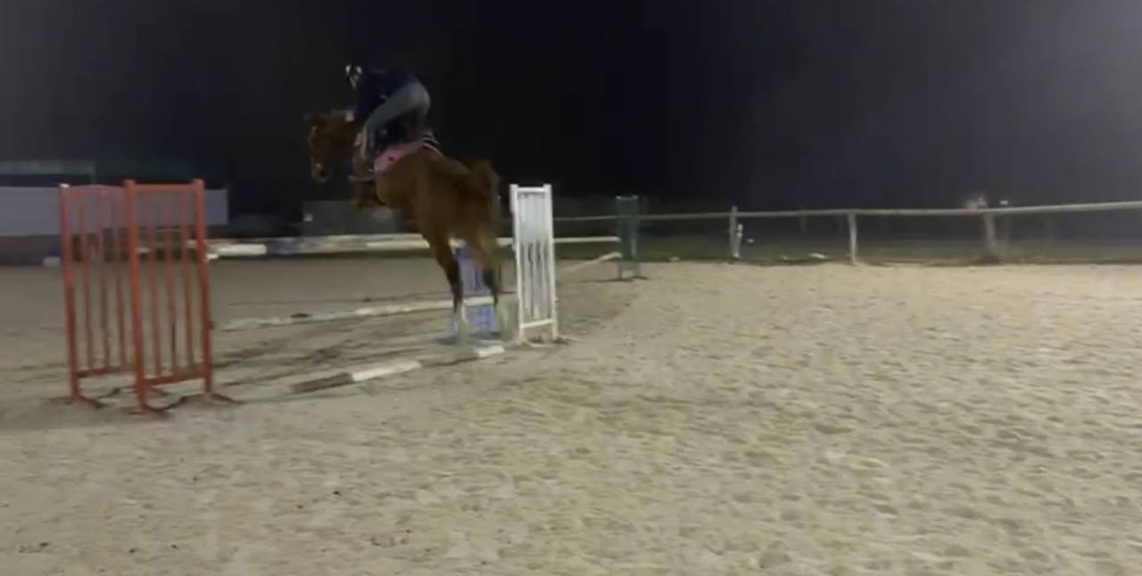 Crack de 5 ans un peu tardif