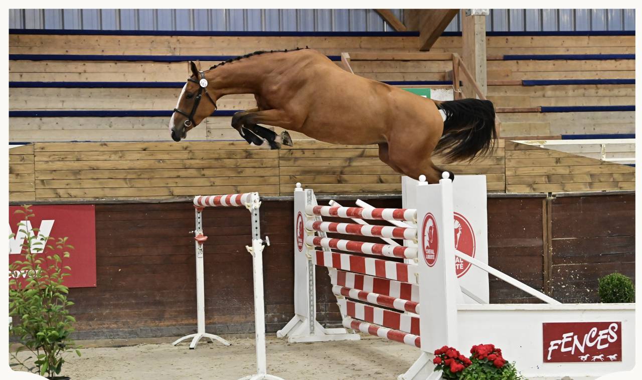 &Agrave; vendre jument 