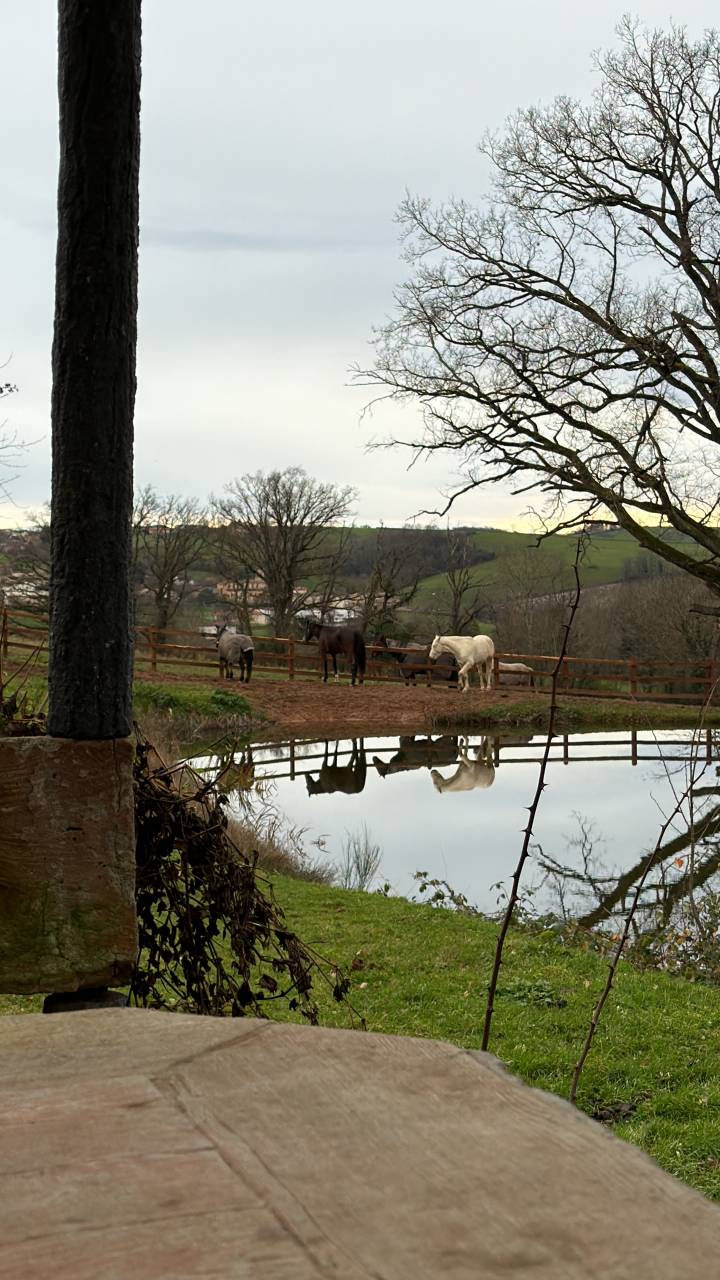 Ouverture de pension?