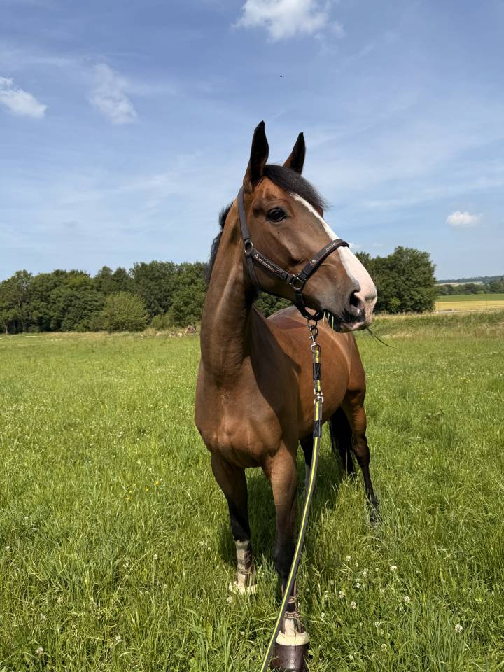 6 ans Jobolensky Sitte