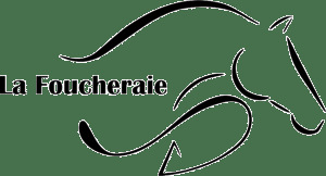 Pension pour chevaux / poney 