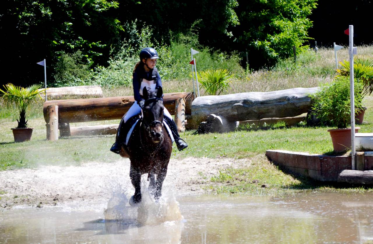 Pension pour chevaux / poney 