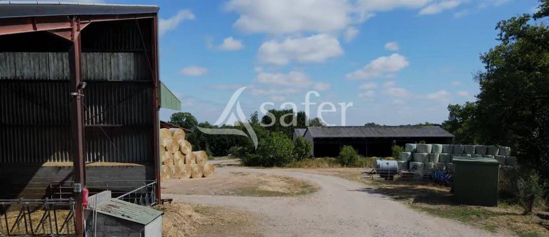 Belle Exploitation d'Elevages en Bovins et Ovins sur 242 ha