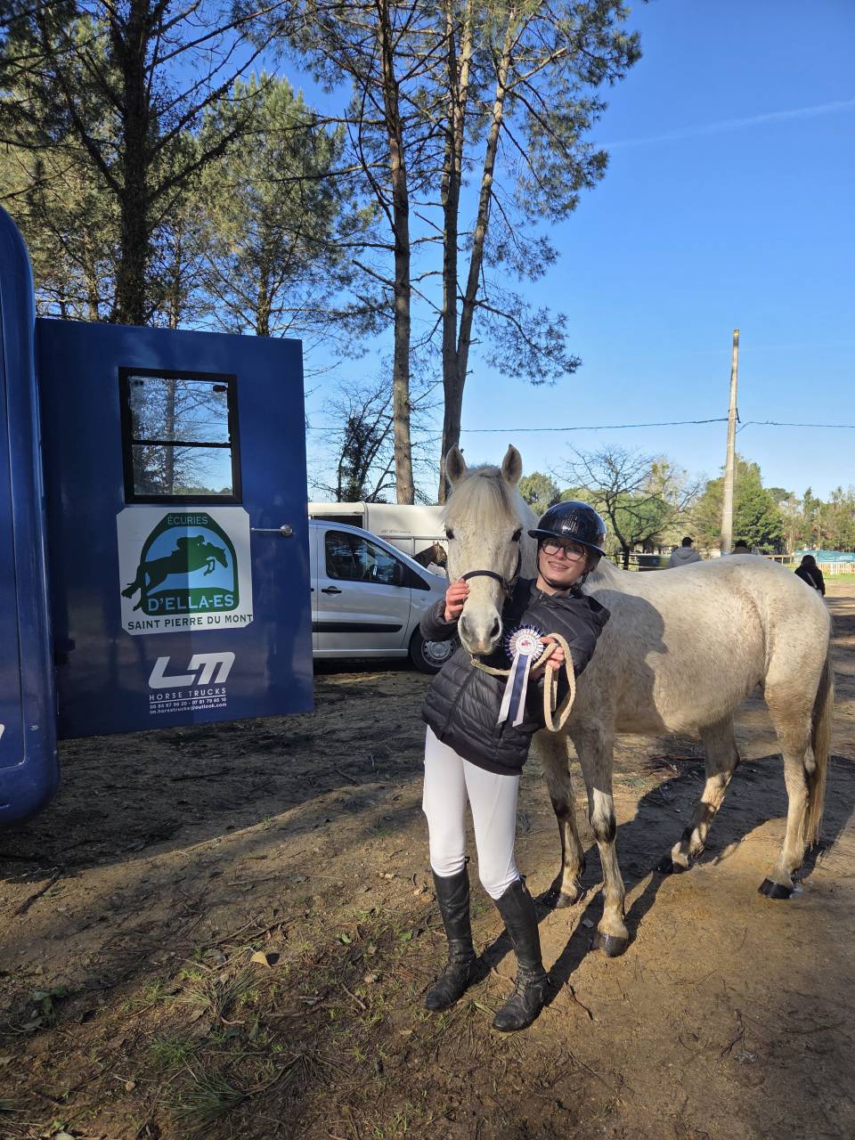 Poney Fran&ccedil;ais de Selle