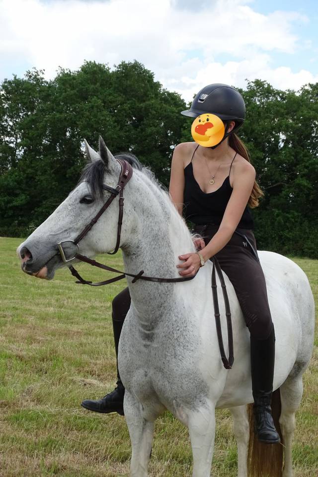 &agrave; vendre ponette 7 ans