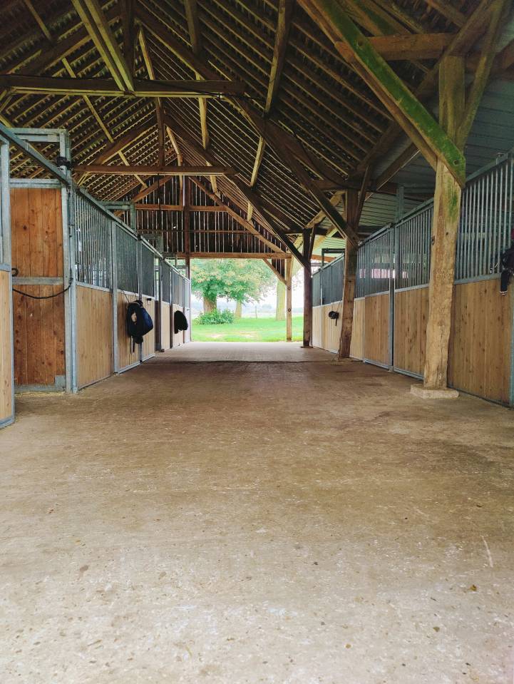 &Eacute;curie de propri&eacute;taire - pension chevaux - cours 