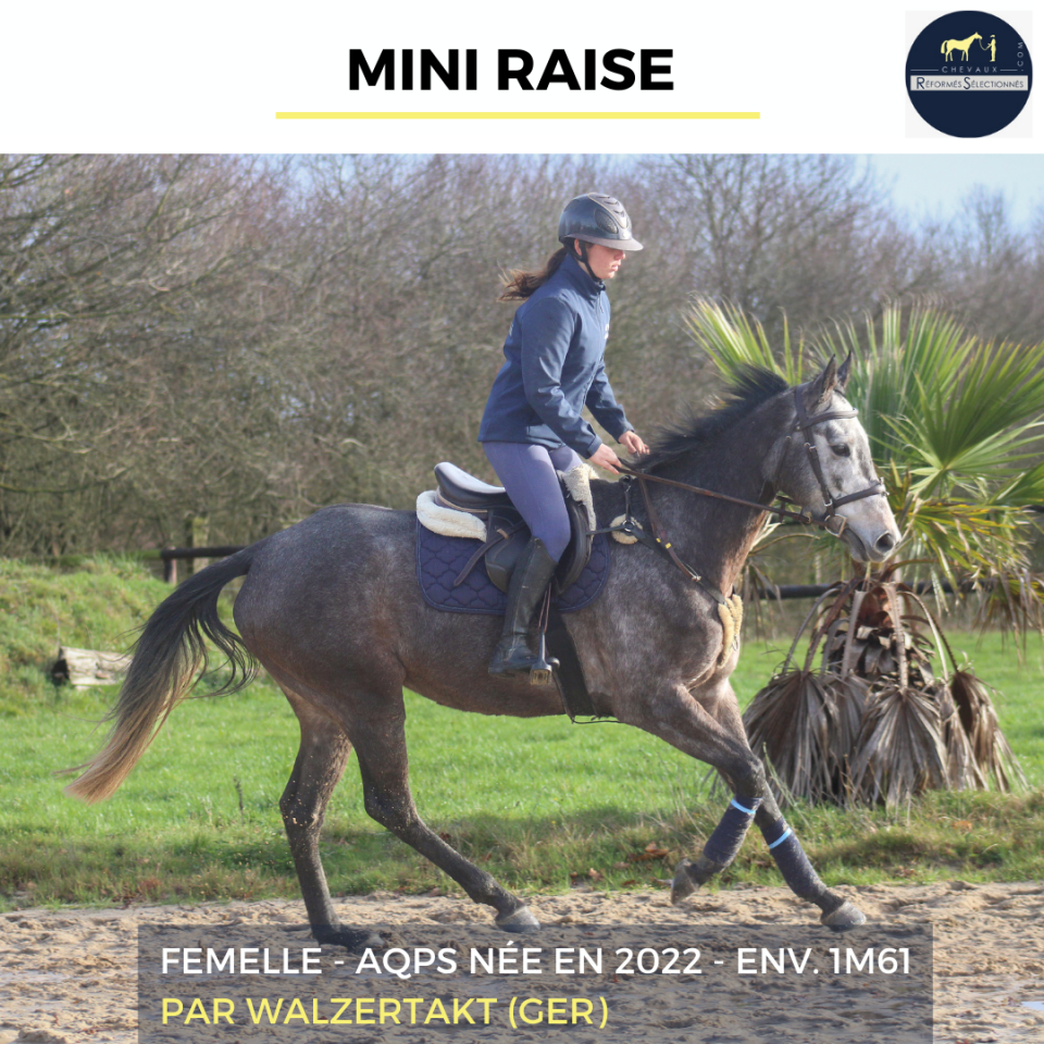 MINI RAISE - AQPS - 3 ANS