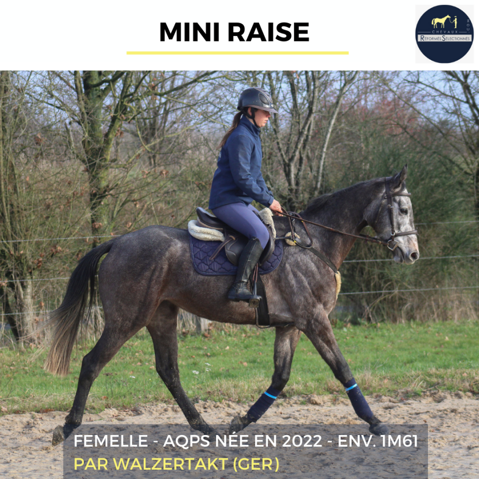 MINI RAISE - AQPS - 3 ANS