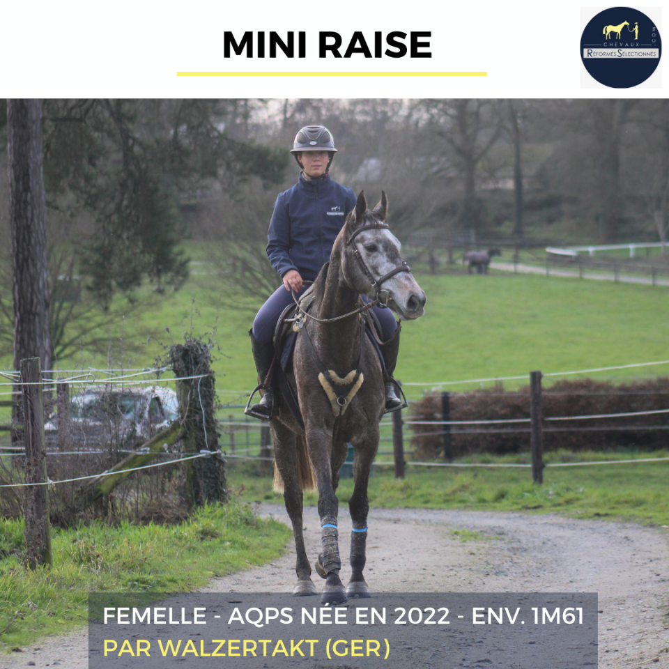 MINI RAISE - AQPS - 3 ANS
