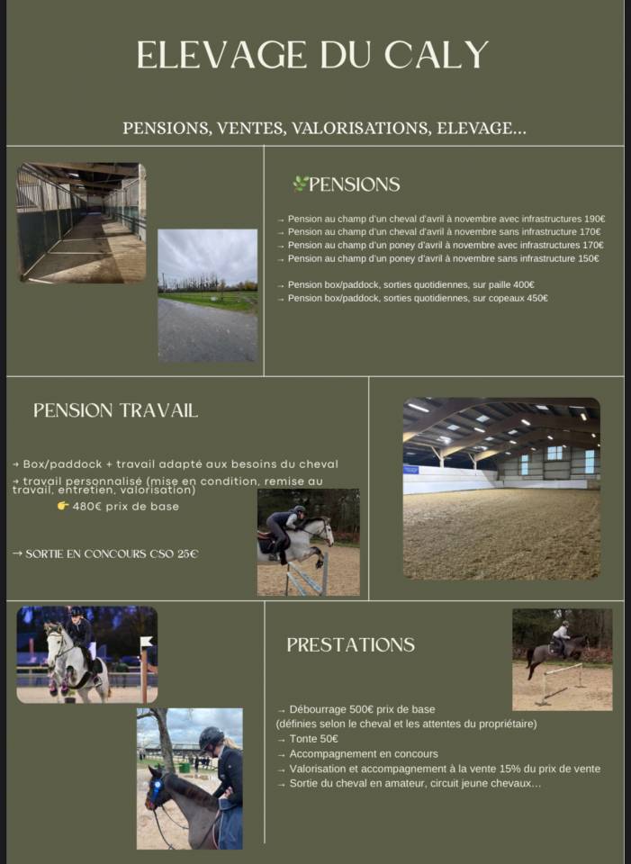 Pension &eacute;questre - &Eacute;LEVAGE DU CALY - 50480 Utah beach 