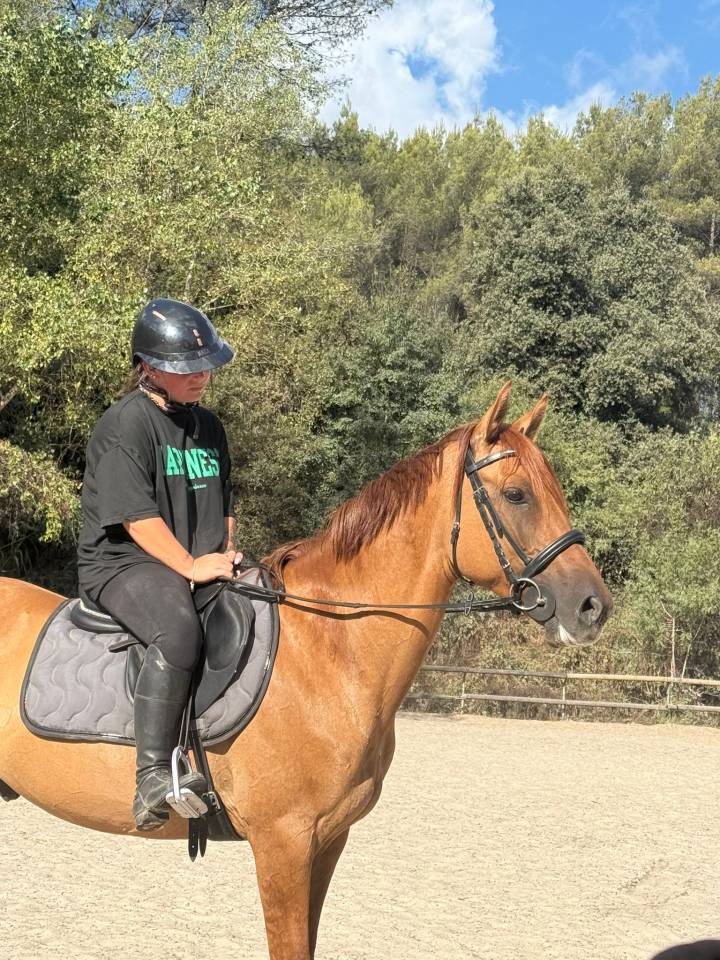 Cheval &agrave; vendre 