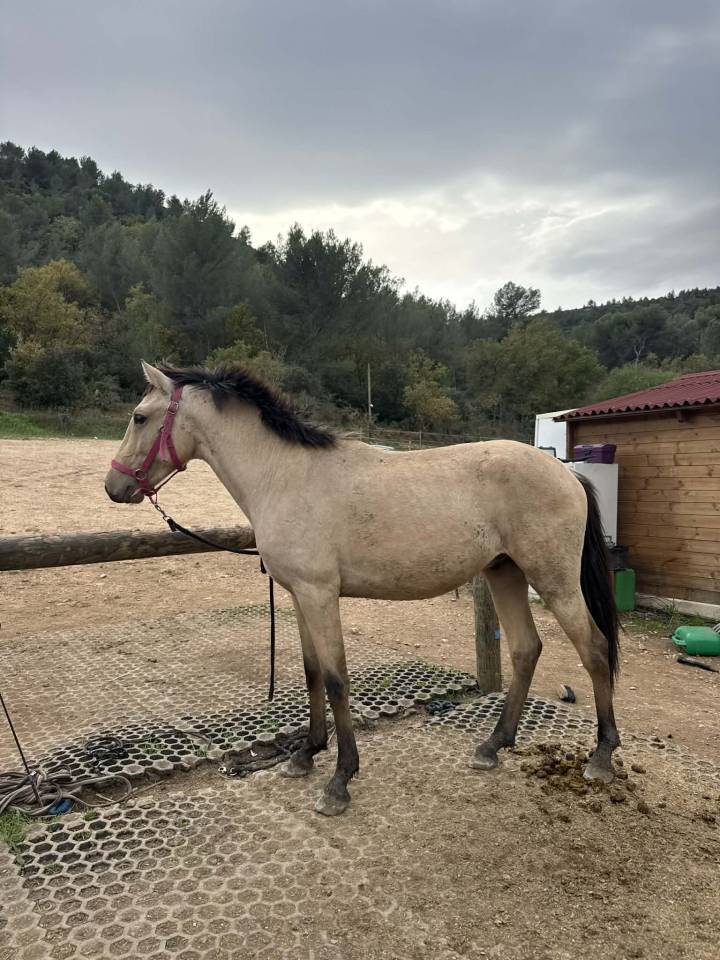 Jolie ONC 4 ans en 2026