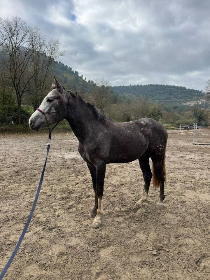 Petit beau gosse de 4 ans en 2026