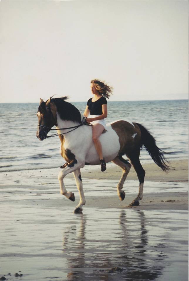 G&icirc;te 5 pers au sein du Domaine &eacute;questre de l&rsquo;Ormerie 