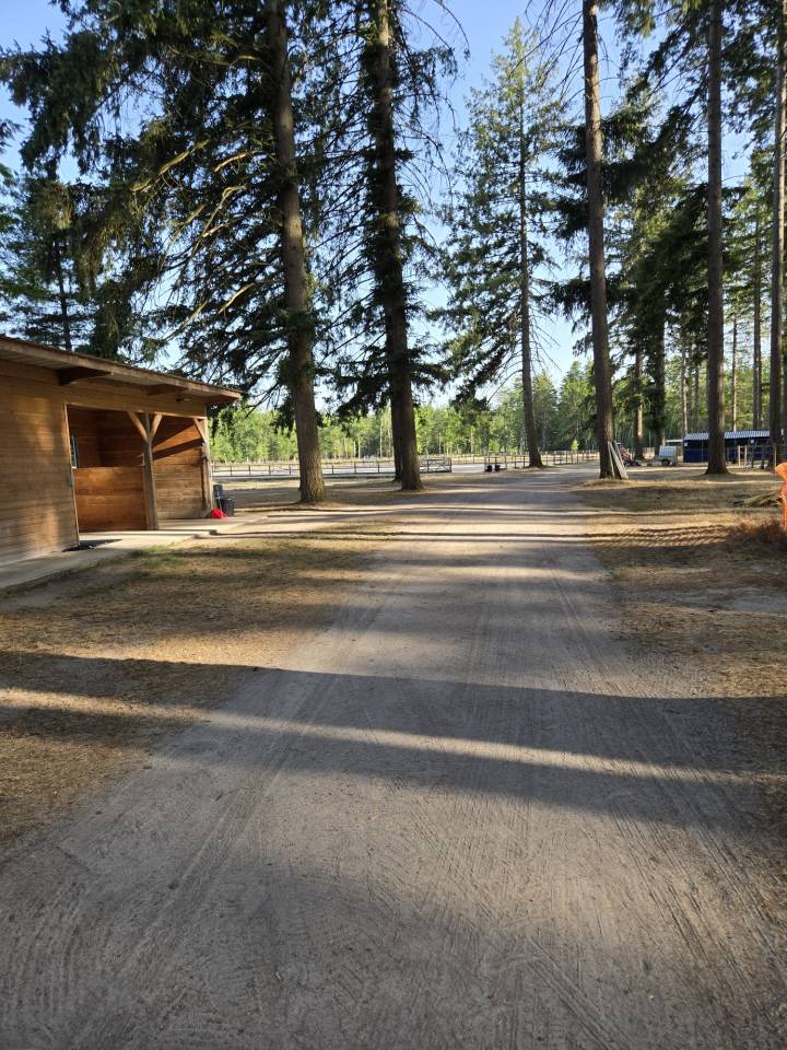 Recherche Cavalier(&egrave;re) Pro - Location d'une &eacute;curie 