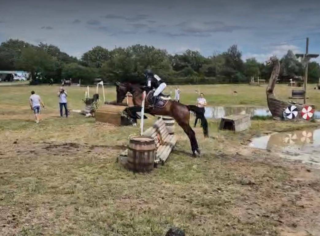 Propose demi-pension ou pension compl&egrave;te &ndash; Jument 8 ans