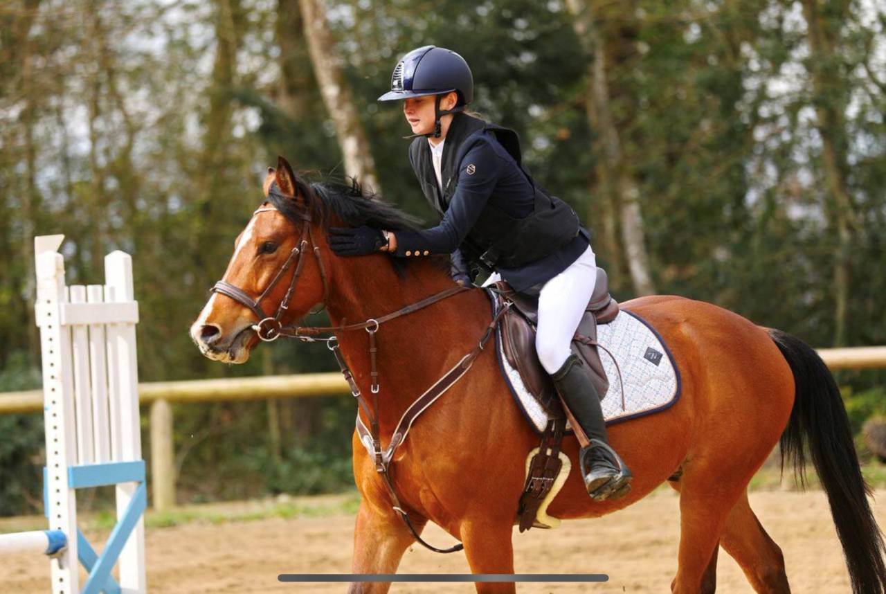 Propose demi-pension &ndash; Poney de sport 8 ans