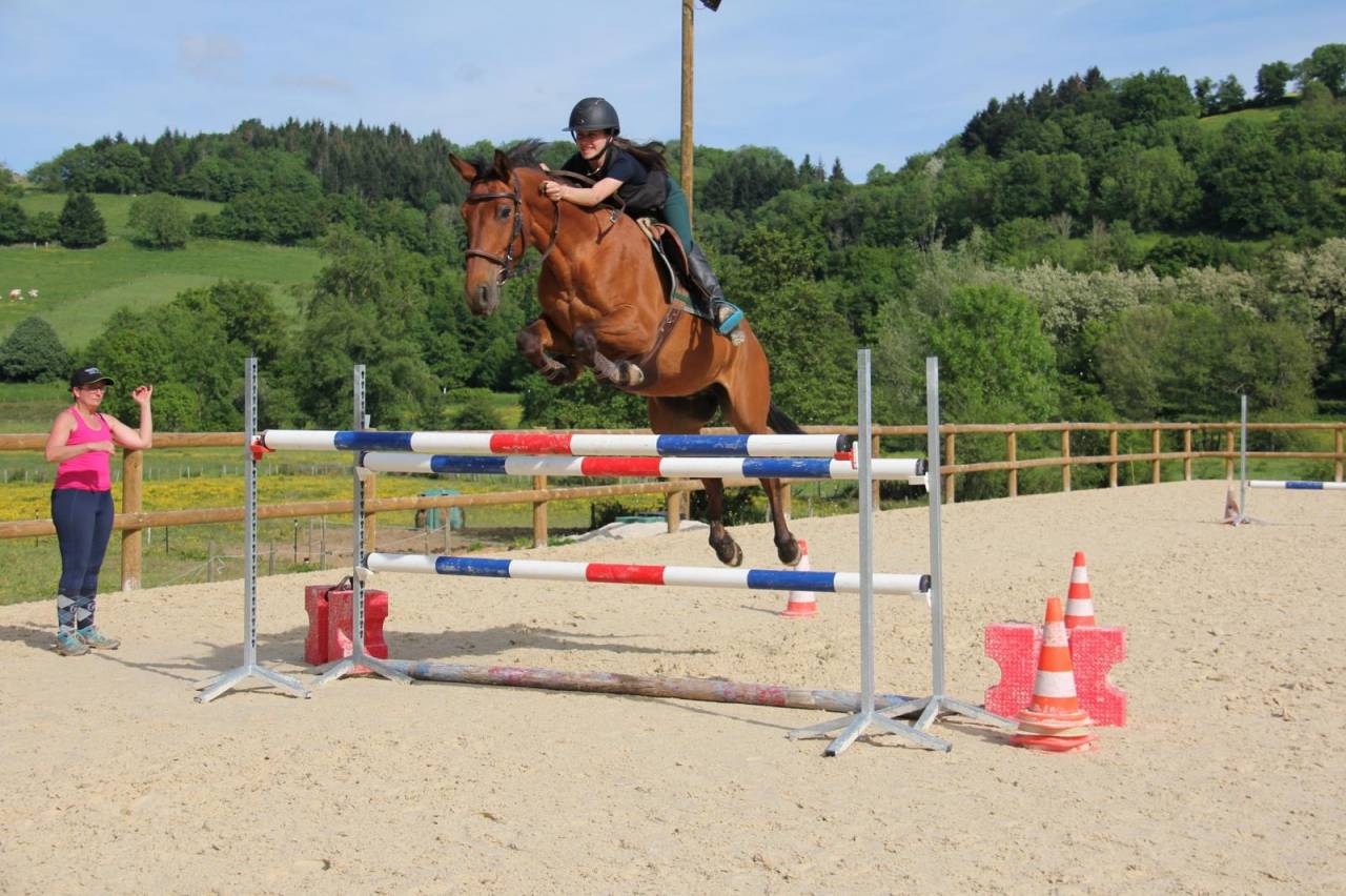 Recherche DP pour cheval 7 ans