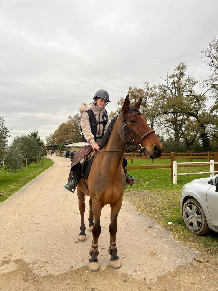 Recherche DP pour cheval 7 ans