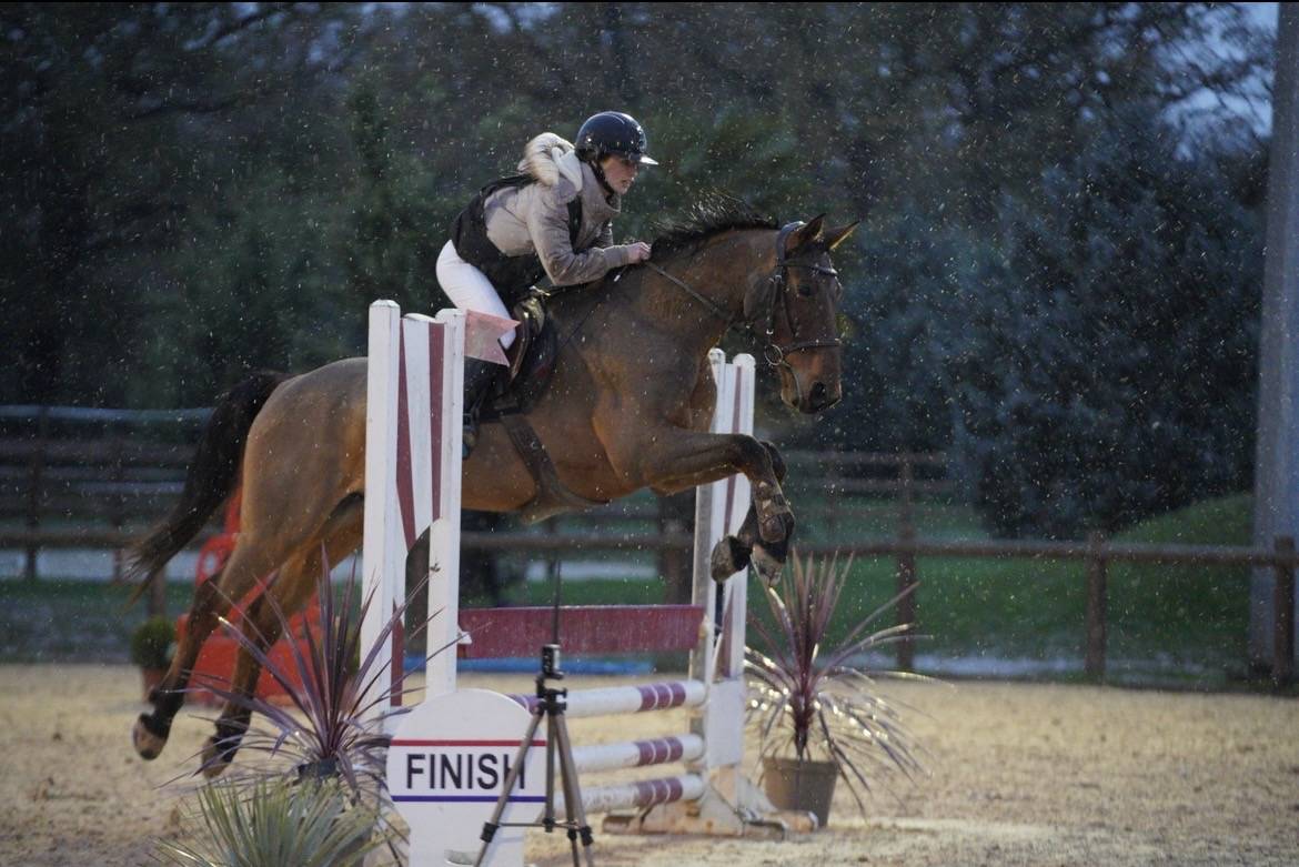 Recherche DP pour cheval 7 ans