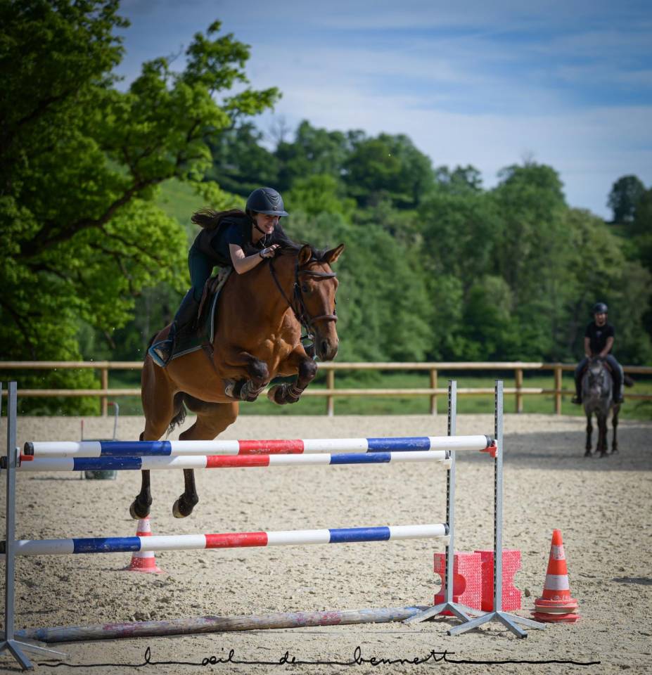 Recherche DP pour cheval 7 ans