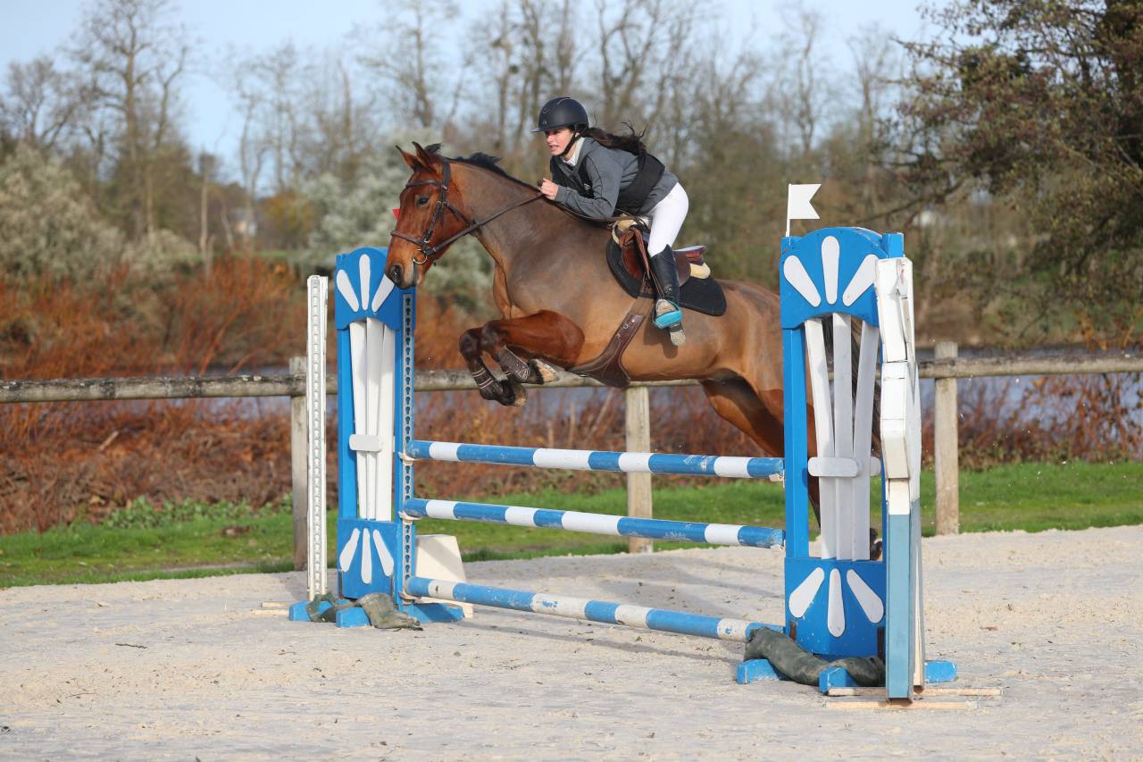 Recherche DP pour cheval 7 ans