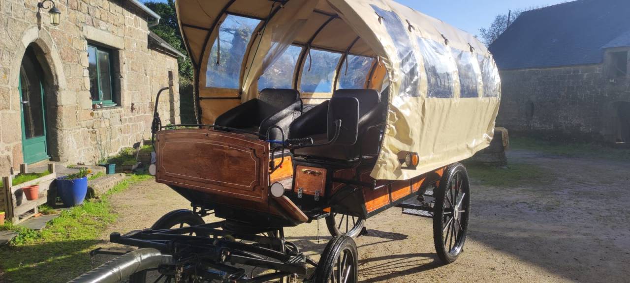 cal&egrave;che wagonnette de 12 + 2 places