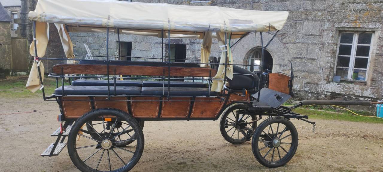 cal&egrave;che wagonnette de 12 + 2 places