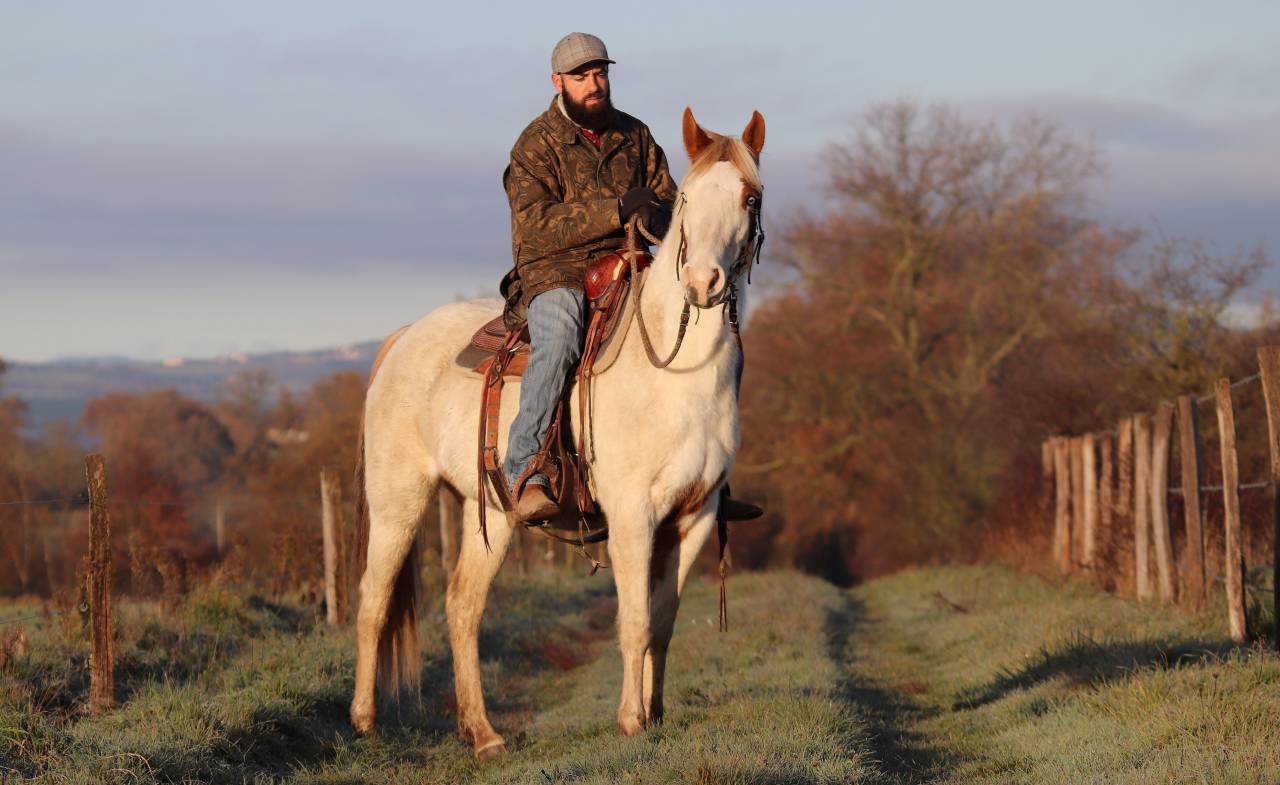 Jument OC Paint de 3 ans 