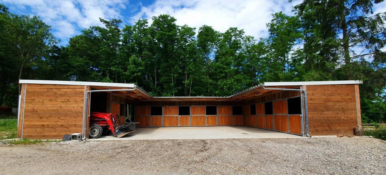 Mise &agrave; disposition &ndash; Boxes nus, paddocks individuels & 