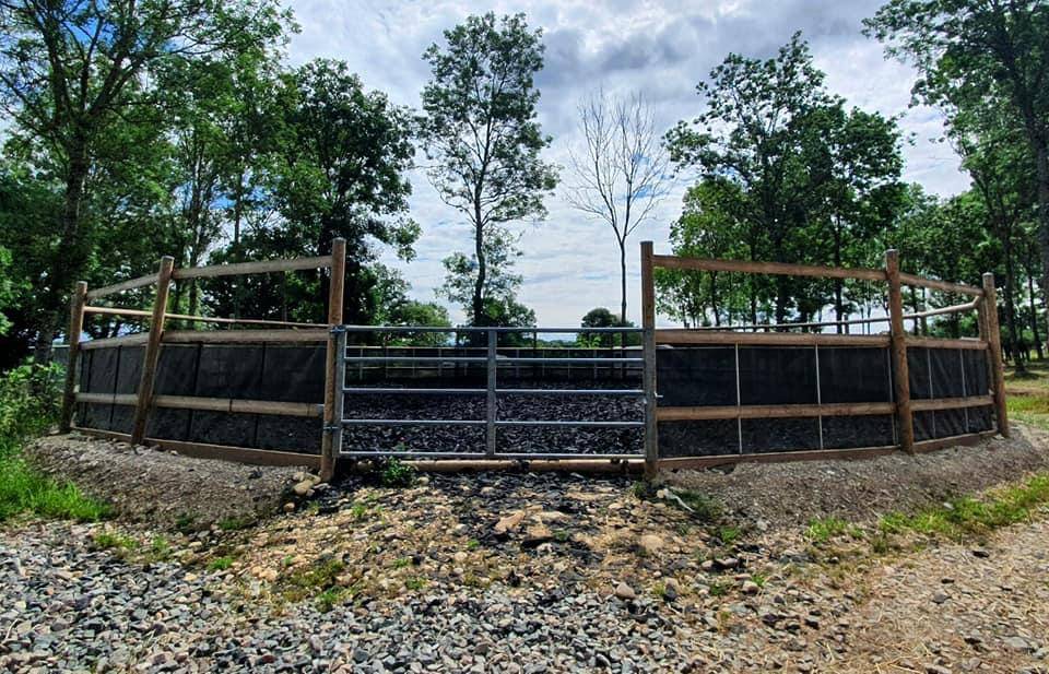 Mise &agrave; disposition &ndash; Boxes nus, paddocks individuels & 