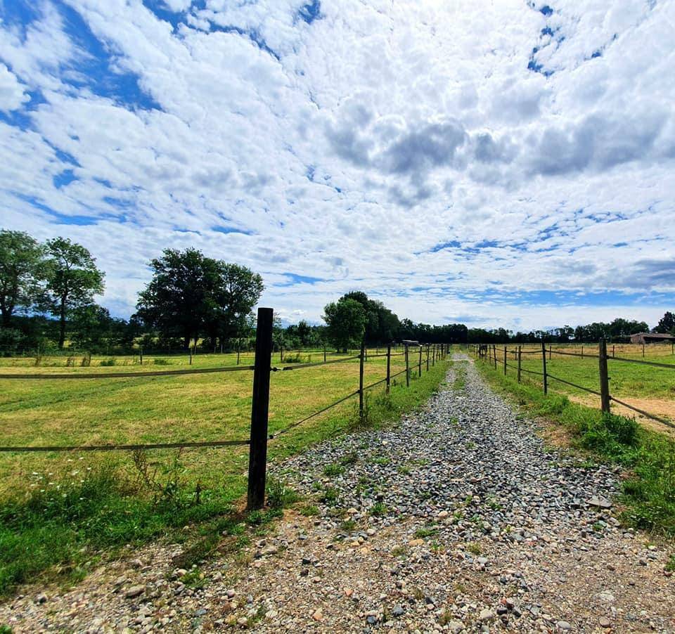 Mise &agrave; disposition &ndash; Boxes nus, paddocks individuels & 