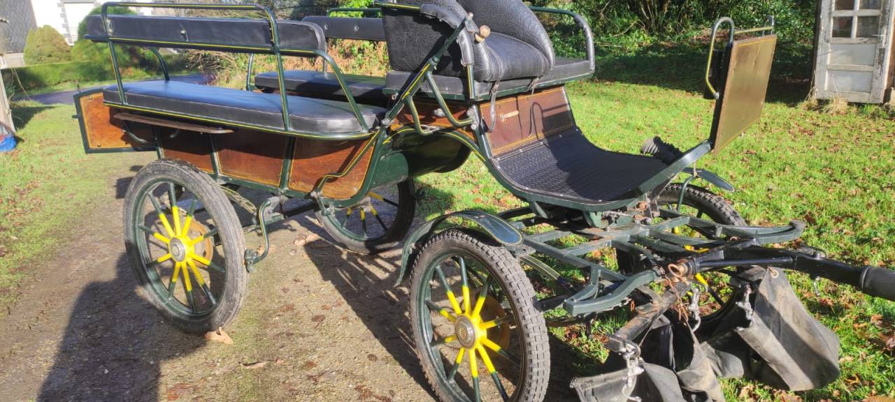 cal&egrave;che wagonnette de 6 + 2 places