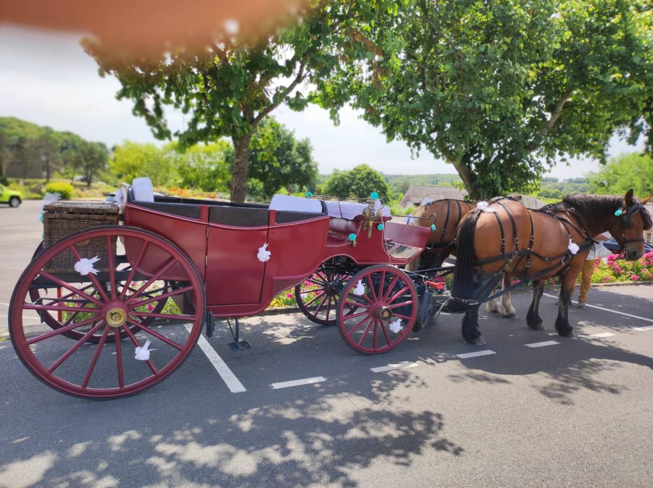 cal&egrave;che type landau