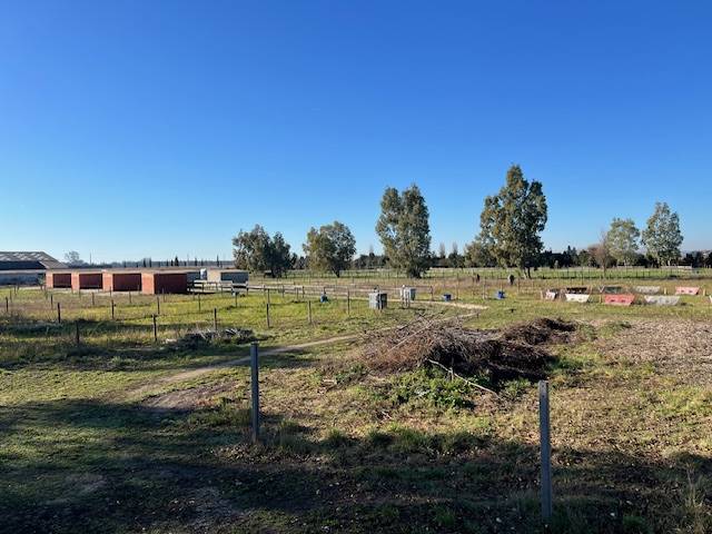 Structure &eacute;questre