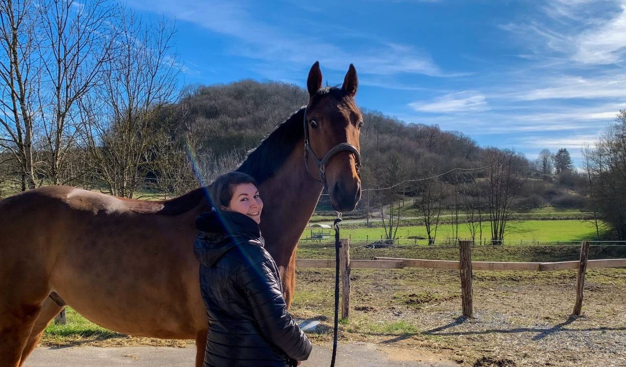 Cavalier/soigneur ou Palefrenier/soigneur 