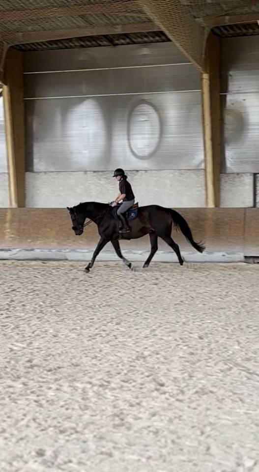 Recherche demi / tiers de pension