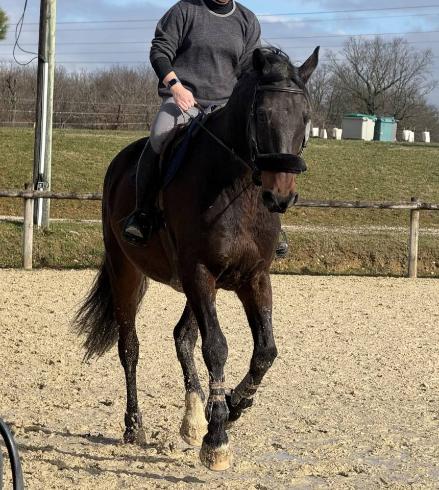 Recherche demi / tiers de pension