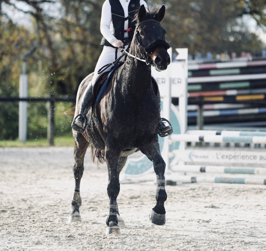 Recherche demi / tiers de pension