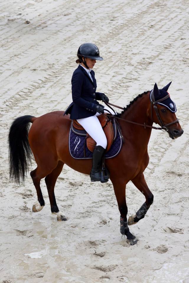 Poney de Grand prix / Grand prix excellence &agrave; Vendre 