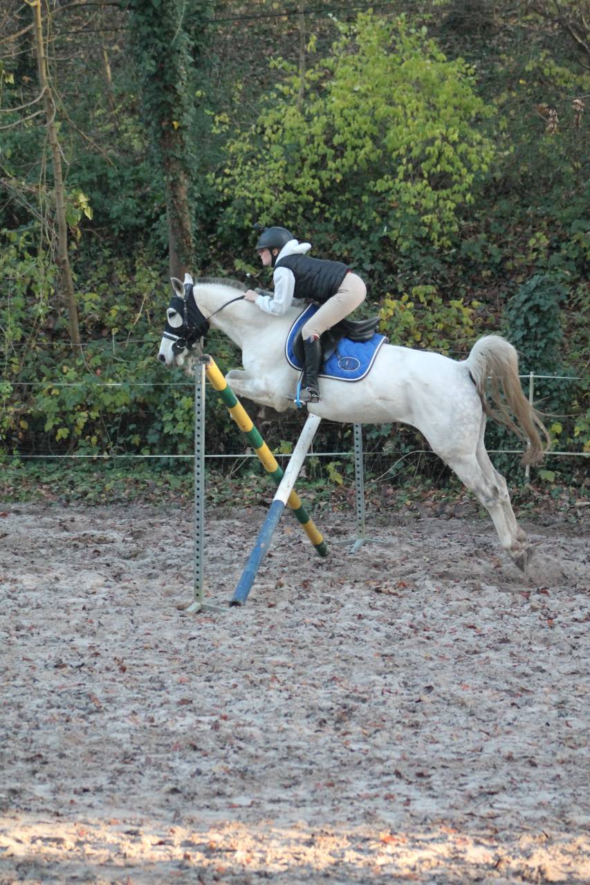 recherche d&rsquo;emploi &eacute;questre 