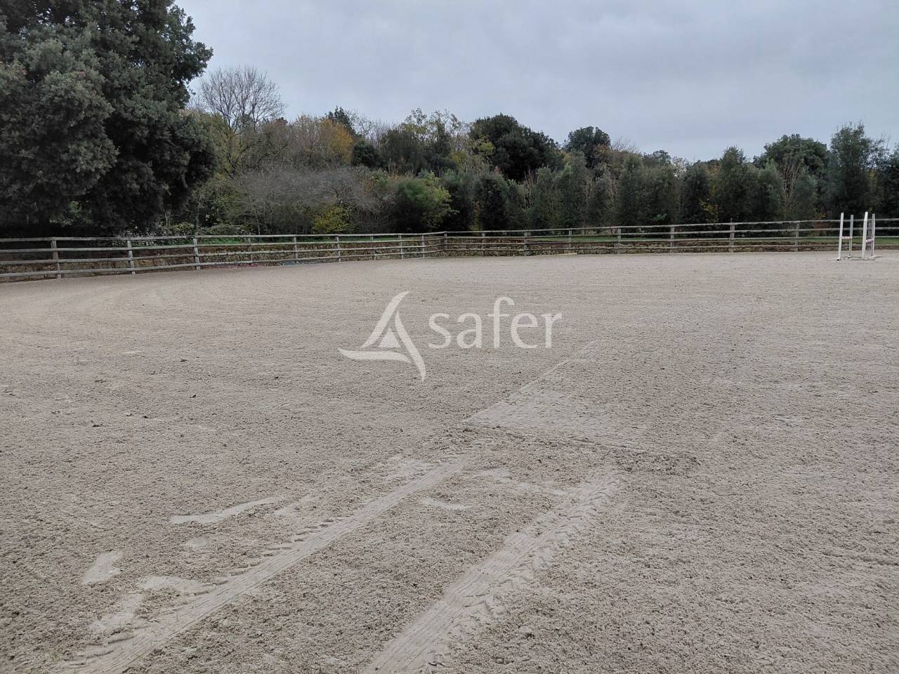 Propri&eacute;t&eacute; &eacute;questre de caract&egrave;re