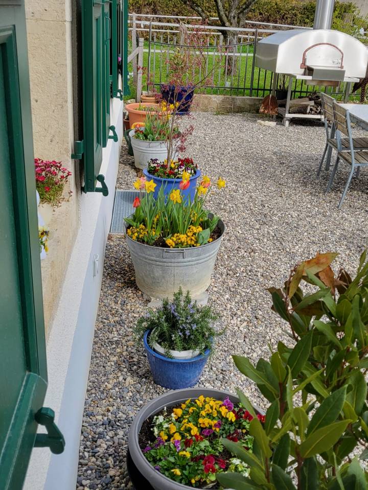 Ferme &eacute;questre r&eacute;nov&eacute;e avec 4 boxes et un paddock