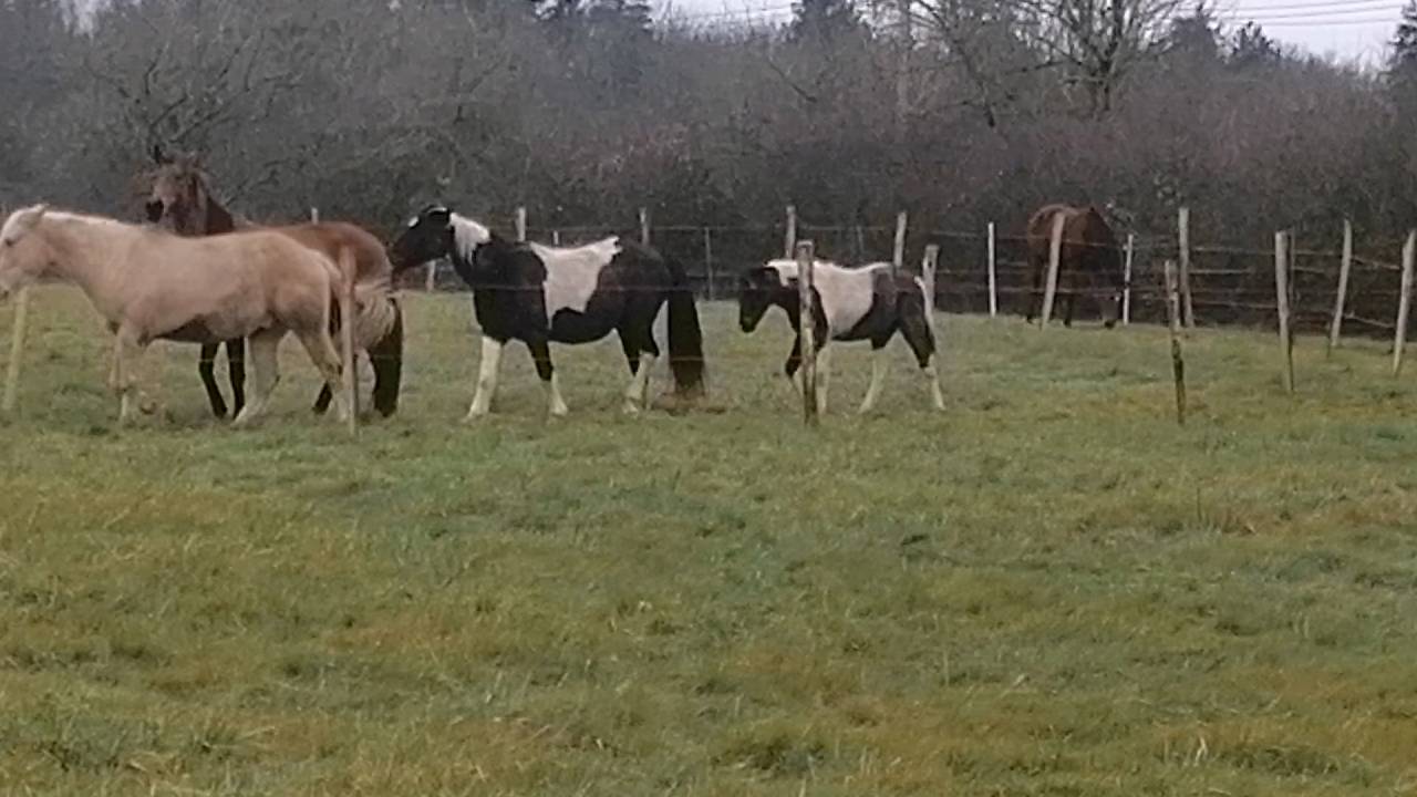 Pension pr&eacute; - &eacute;quipiste