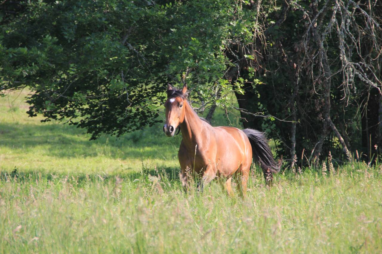 Pension pr&eacute; - &eacute;quipiste