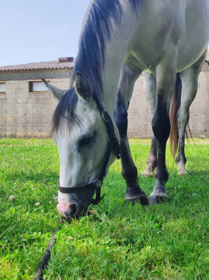 3 ans SF d&eacute;bourr&eacute; 