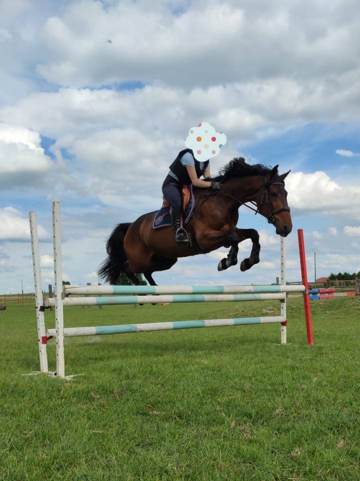 H&eacute;racles du Kastel 