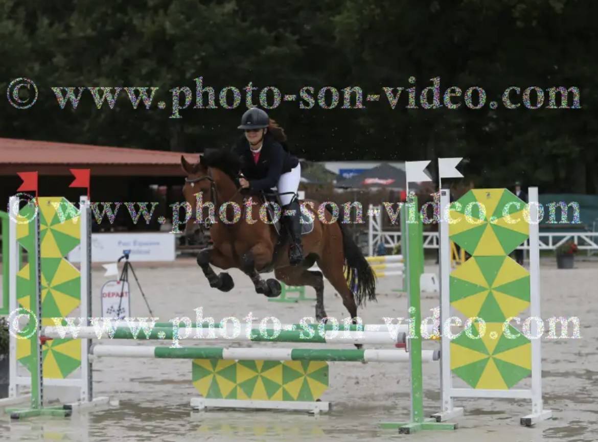 ? &Agrave; VENDRE &ndash; Superbe ponette de 7 ans &ndash; 1m49 ferr&eacute; &ndash; C